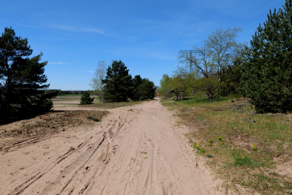 Baruther Urstromtal und Luckenwalder Heide 2021-05-09 103