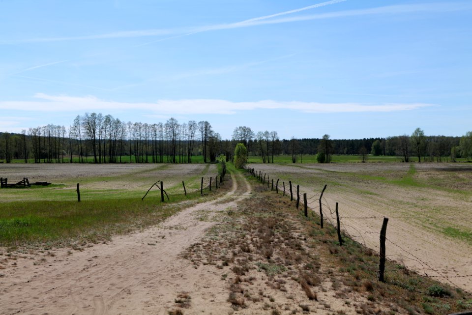Baruther Urstromtal und Luckenwalder Heide 2021-05-09 110