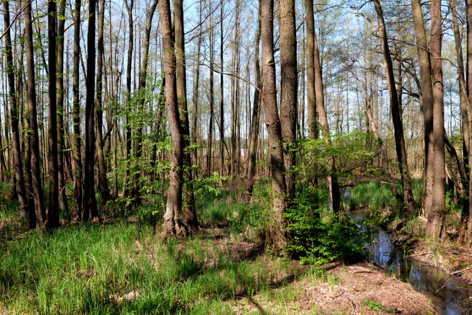Baruther Urstromtal und Luckenwalder Heide 2021-05-09 24