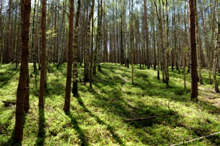 Baruther Urstromtal und Luckenwalder Heide 2021-05-09 160