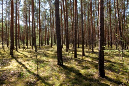 Baruther Urstromtal und Luckenwalder Heide 2021-05-09 86