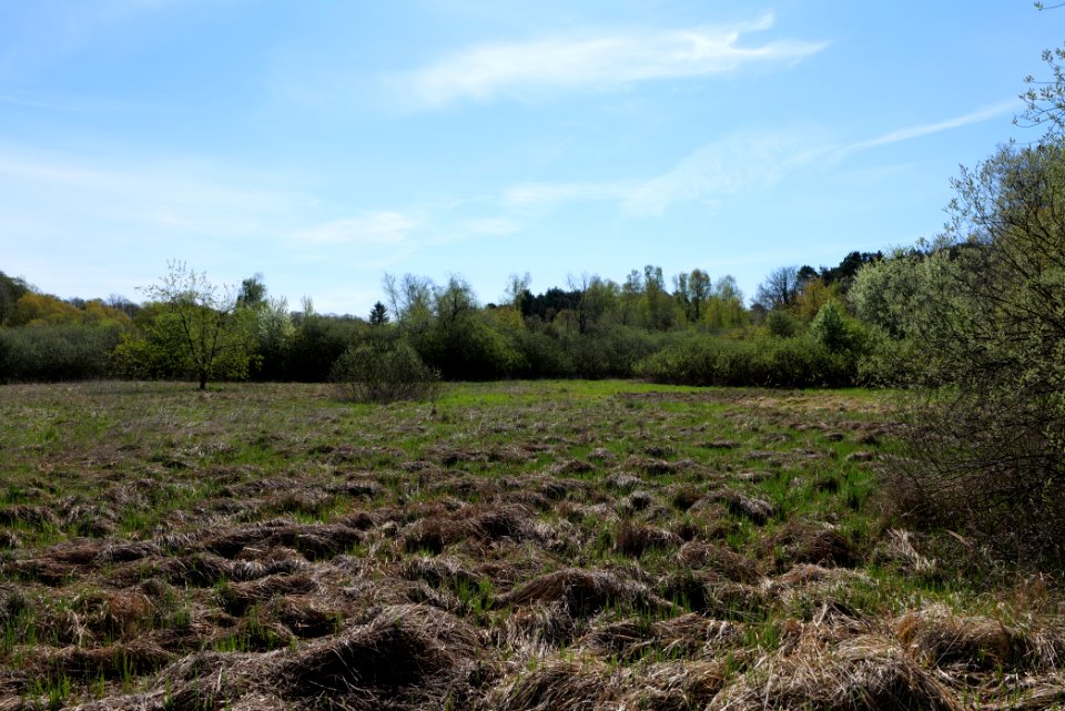 Baruther Urstromtal und Luckenwalder Heide 2021-05-09 01