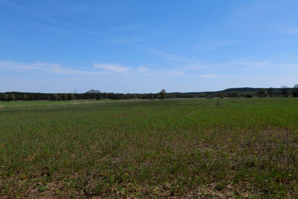 Baruther Urstromtal und Luckenwalder Heide 2021-05-09 73