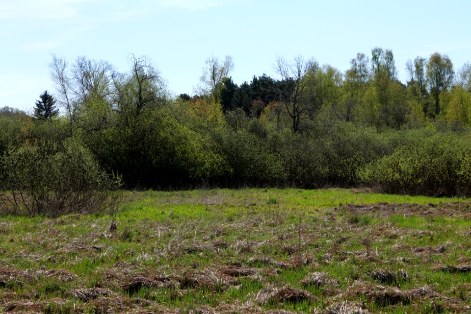 Baruther Urstromtal und Luckenwalder Heide 2021-05-09 03