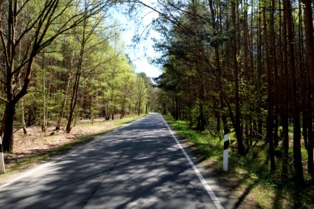 Baruther Urstromtal und Luckenwalder Heide 2021-05-09 78