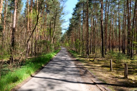 Baruther Urstromtal und Luckenwalder Heide 2021-05-09 93