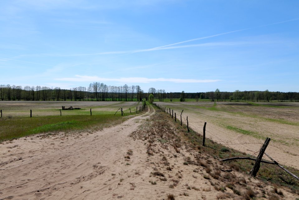 Baruther Urstromtal und Luckenwalder Heide 2021-05-09 109