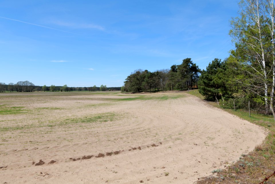 Baruther Urstromtal und Luckenwalder Heide 2021-05-09 114
