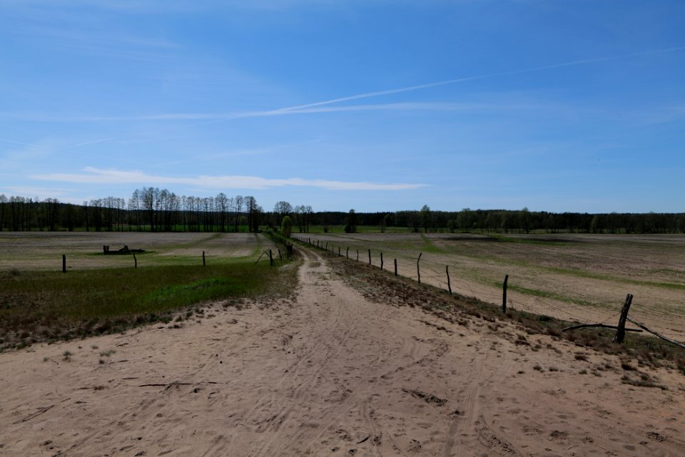 Baruther Urstromtal und Luckenwalder Heide 2021-05-09 105