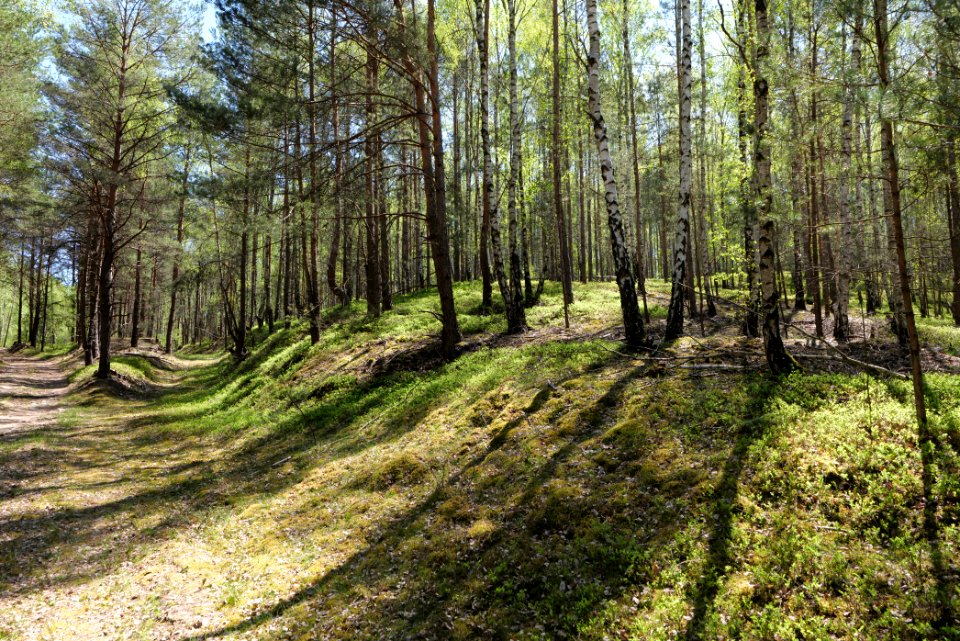 Baruther Urstromtal und Luckenwalder Heide 2021-05-09 173
