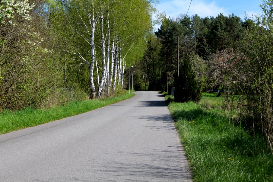 Baruther Urstromtal und Luckenwalder Heide 2021-05-09 10