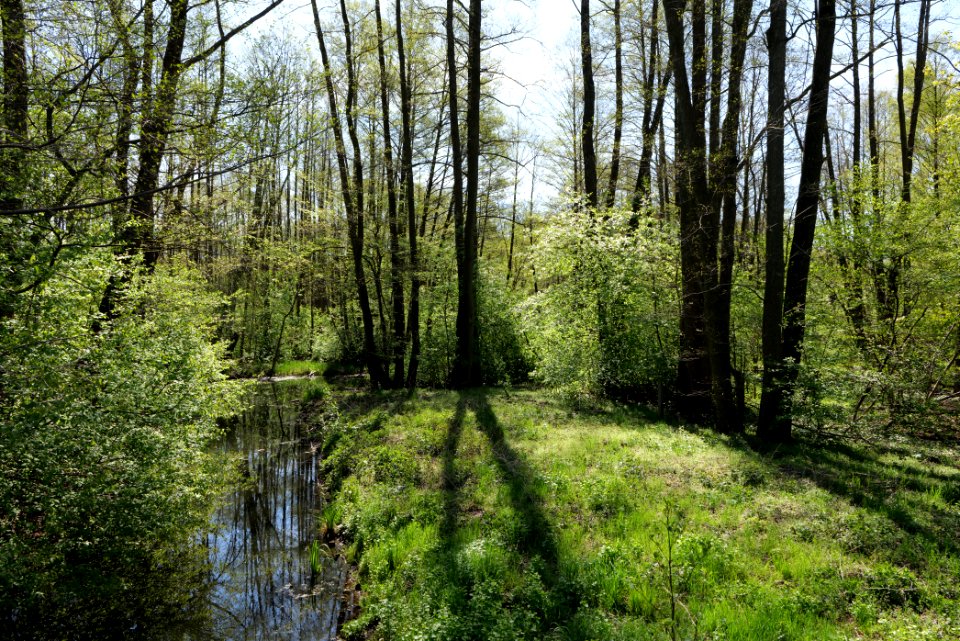 Baruther Urstromtal und Luckenwalder Heide 2021-05-09 13