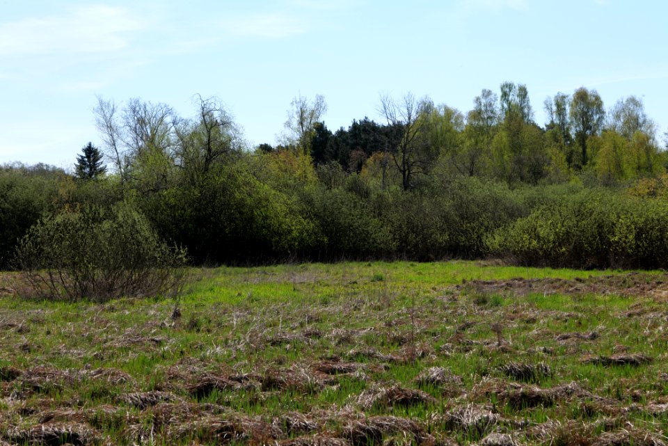Baruther Urstromtal und Luckenwalder Heide 2021-05-09 05