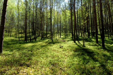 Baruther Urstromtal und Luckenwalder Heide 2021-05-09 166