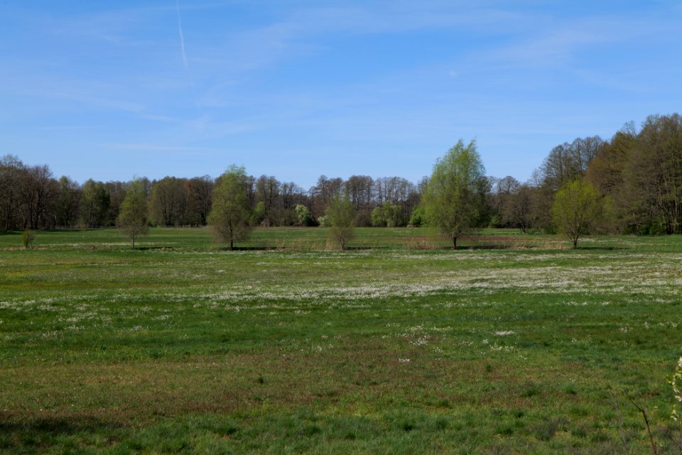 Baruther Urstromtal und Luckenwalder Heide 2021-05-09 34