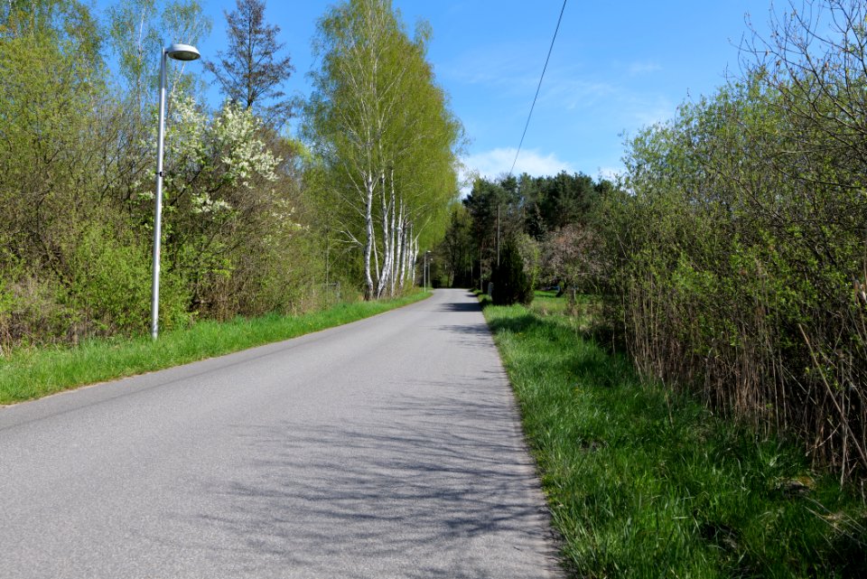 Baruther Urstromtal und Luckenwalder Heide 2021-05-09 11