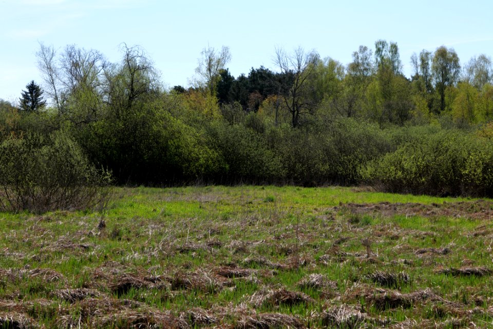 Baruther Urstromtal und Luckenwalder Heide 2021-05-09 02