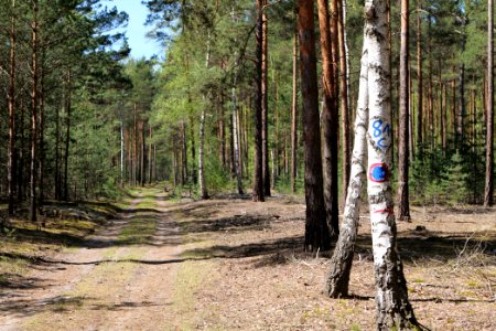 Baruther Urstromtal und Luckenwalder Heide 2021-05-09 82