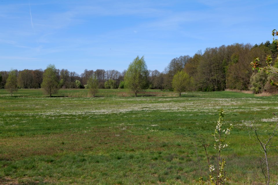Baruther Urstromtal und Luckenwalder Heide 2021-05-09 30