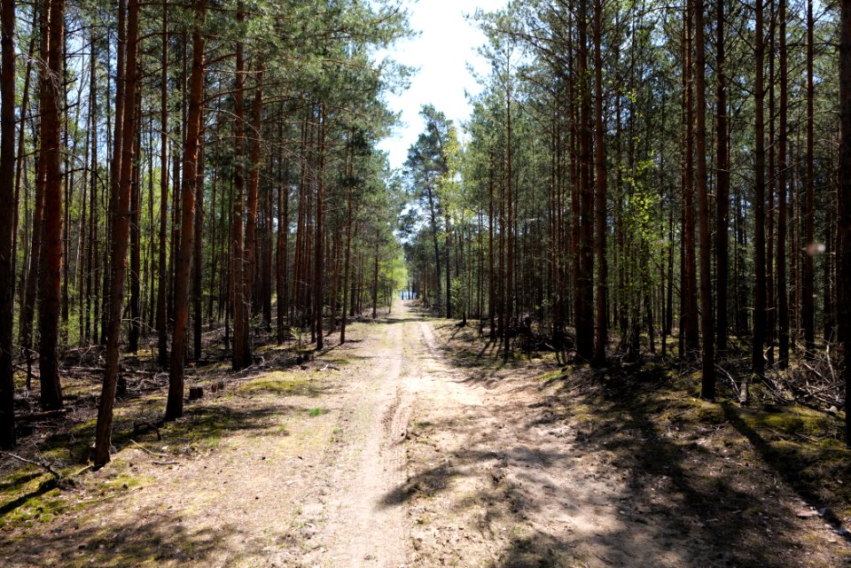 Baruther Urstromtal und Luckenwalder Heide 2021-05-09 84