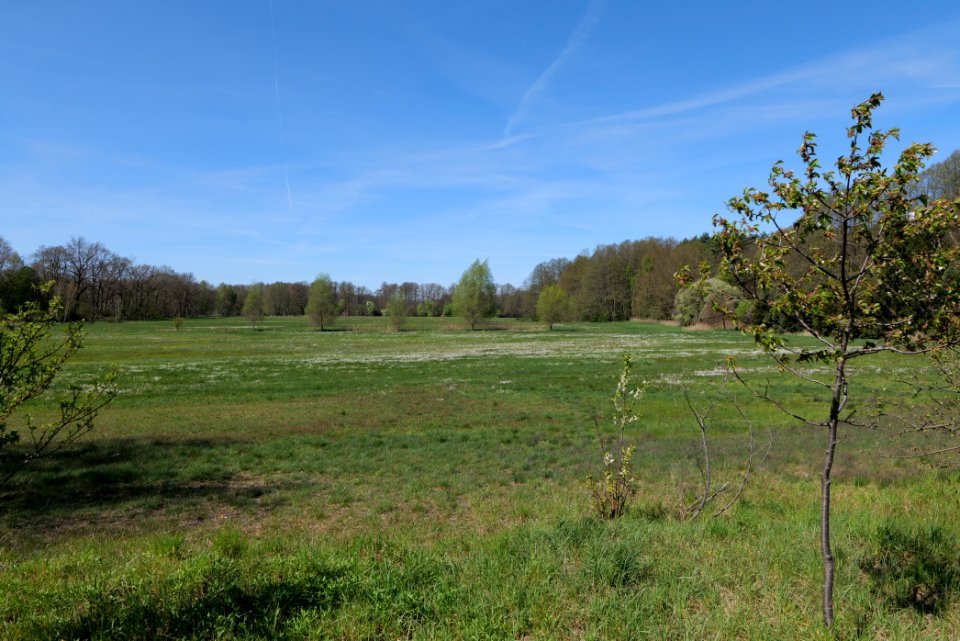Baruther Urstromtal und Luckenwalder Heide 2021-05-09 29