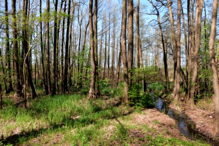 Baruther Urstromtal und Luckenwalder Heide 2021-05-09 25