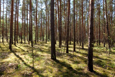 Baruther Urstromtal und Luckenwalder Heide 2021-05-09 85