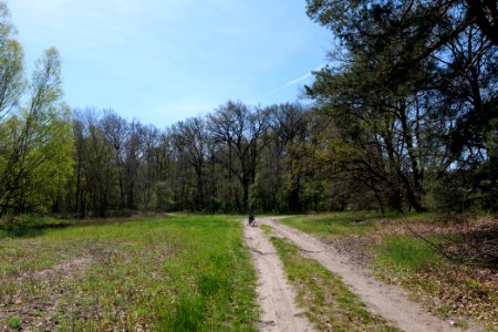 Baruther Urstromtal und Luckenwalder Heide 2021-05-09 75