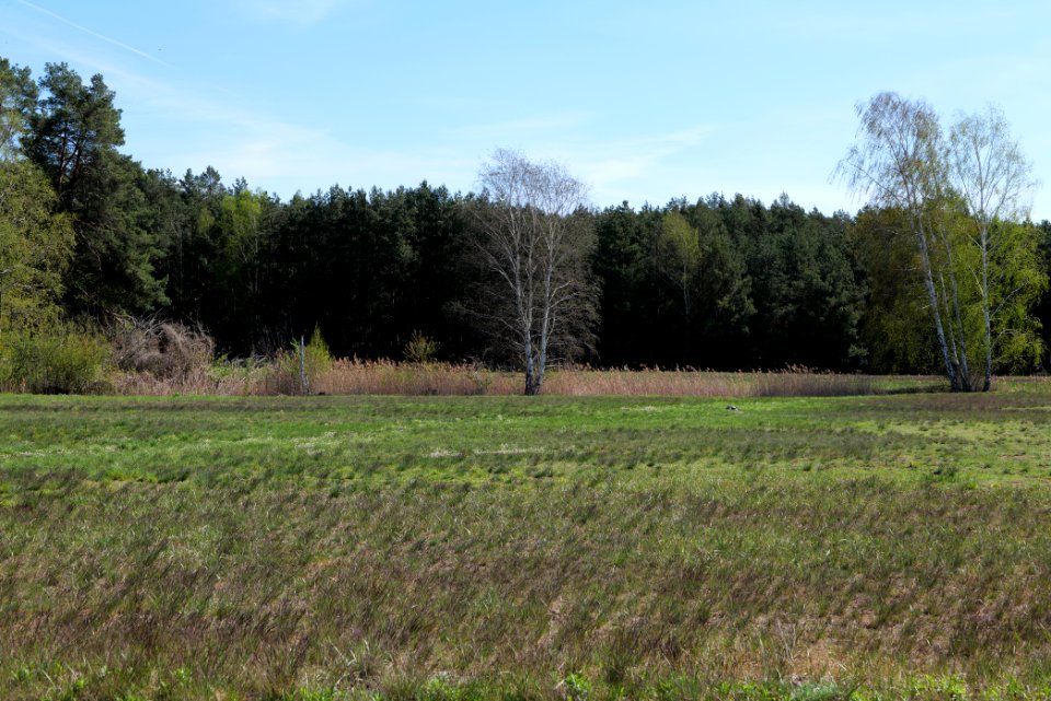 Baruther Urstromtal und Luckenwalder Heide 2021-05-09 40