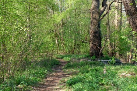 Baruther Urstromtal und Luckenwalder Heide 2021-05-09 17