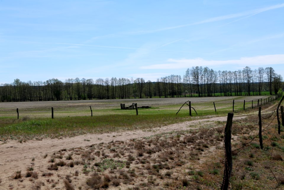 Baruther Urstromtal und Luckenwalder Heide 2021-05-09 116