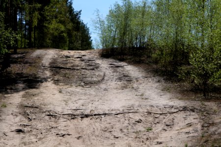 Baruther Urstromtal und Luckenwalder Heide 2021-05-09 128