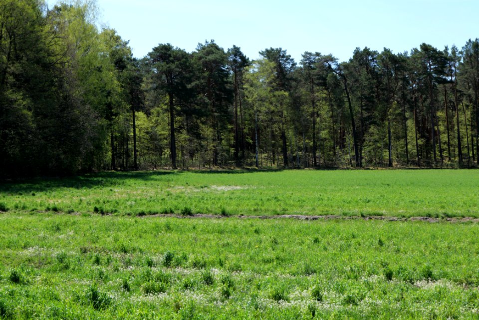 Baruther Urstromtal und Luckenwalder Heide 2021-05-09 65