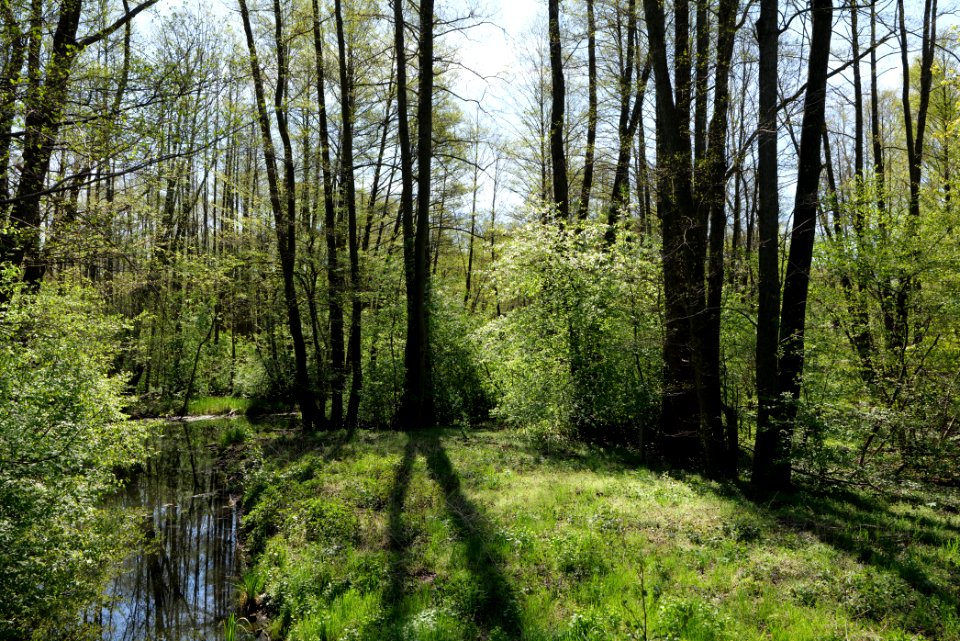 Baruther Urstromtal und Luckenwalder Heide 2021-05-09 14