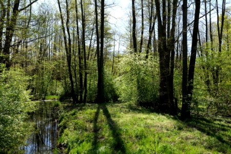 Baruther Urstromtal und Luckenwalder Heide 2021-05-09 14