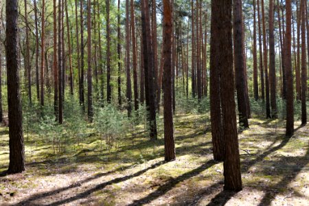 Baruther Urstromtal und Luckenwalder Heide 2021-05-09 79