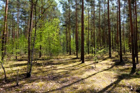 Baruther Urstromtal und Luckenwalder Heide 2021-05-09 90