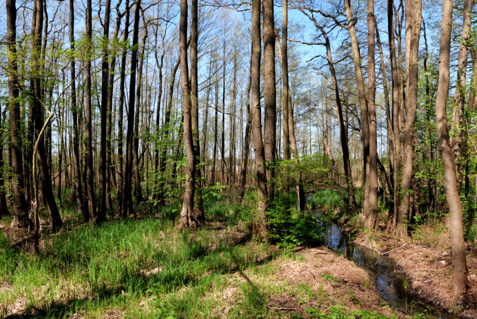 Baruther Urstromtal und Luckenwalder Heide 2021-05-09 22