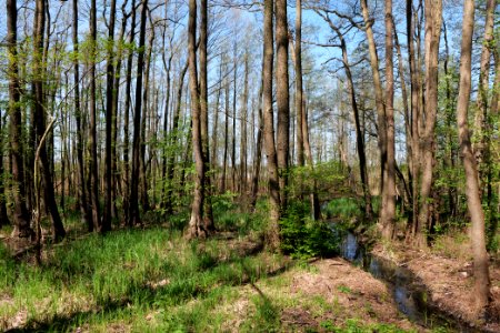 Baruther Urstromtal und Luckenwalder Heide 2021-05-09 22