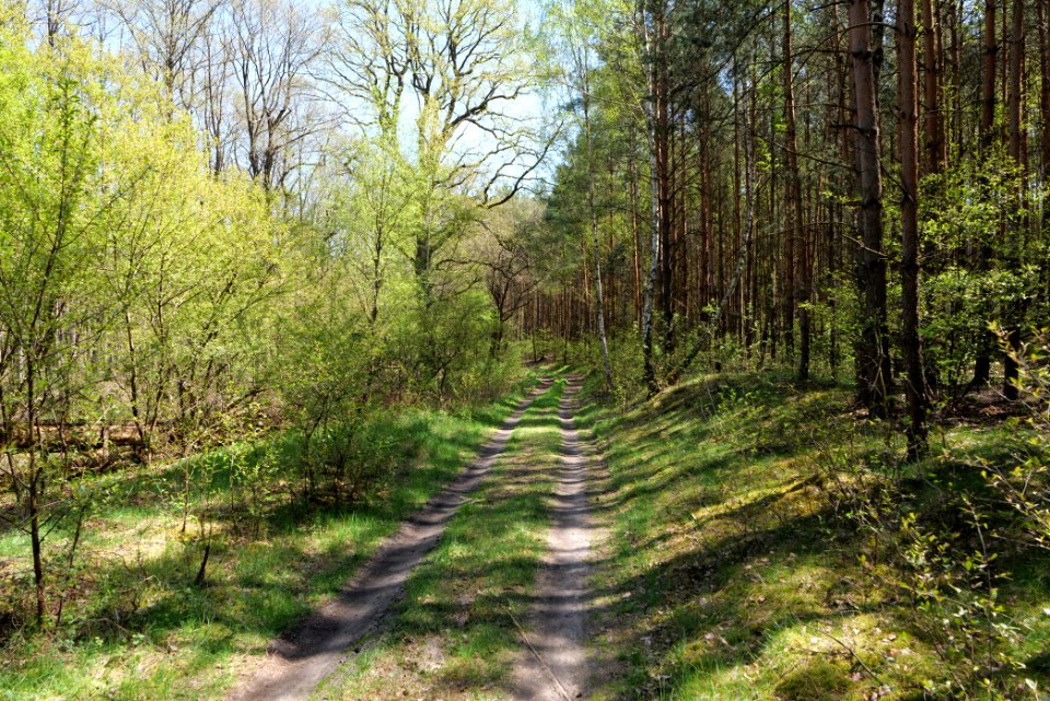 Baruther Urstromtal und Luckenwalder Heide 2021-05-09 142