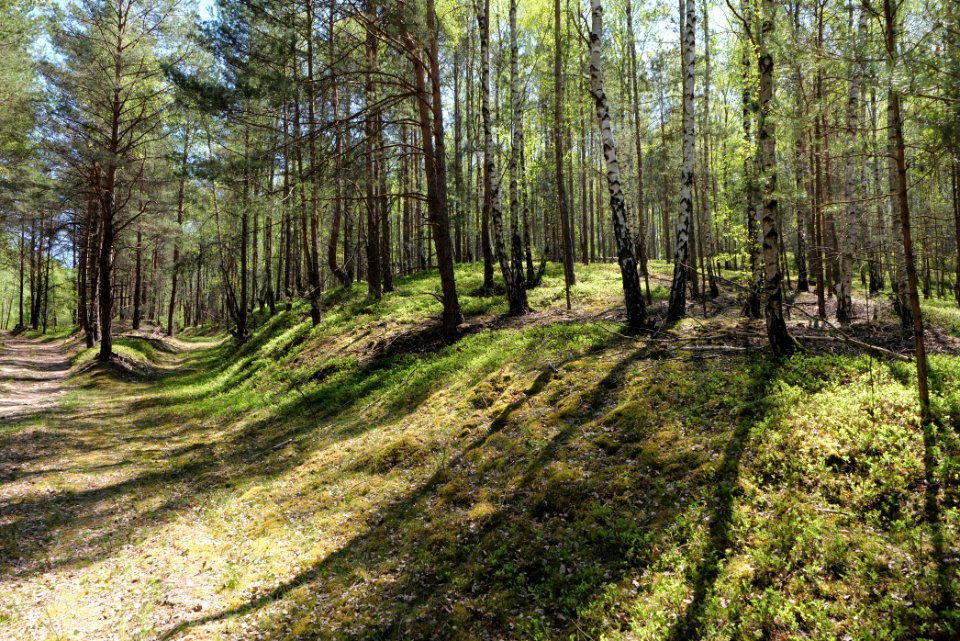 Baruther Urstromtal und Luckenwalder Heide 2021-05-09 172