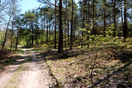 Baruther Urstromtal und Luckenwalder Heide 2021-05-09 121
