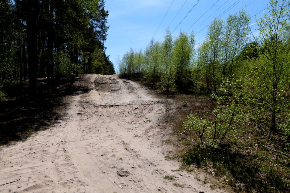 Baruther Urstromtal und Luckenwalder Heide 2021-05-09 127