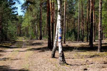 Baruther Urstromtal und Luckenwalder Heide 2021-05-09 83