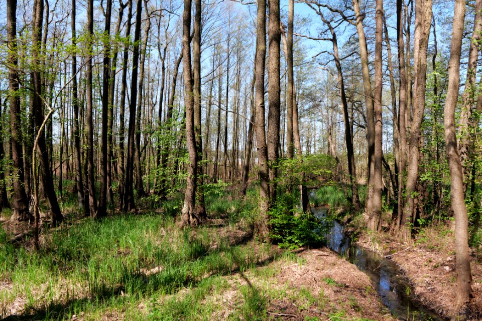 Baruther Urstromtal und Luckenwalder Heide 2021-05-09 21
