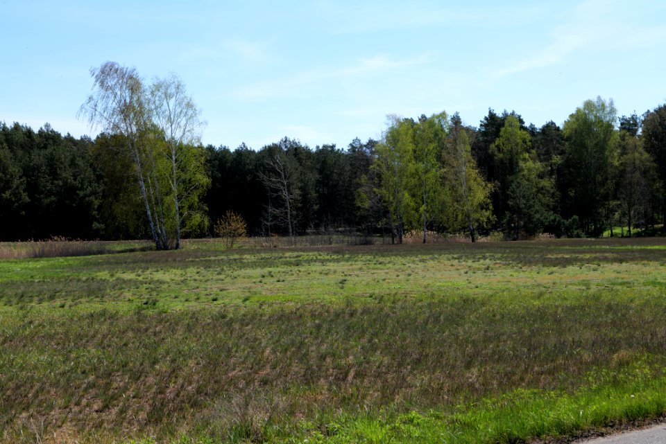 Baruther Urstromtal und Luckenwalder Heide 2021-05-09 37
