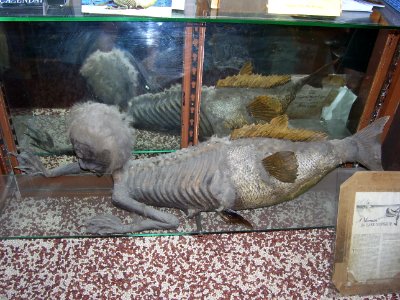Banff Merman