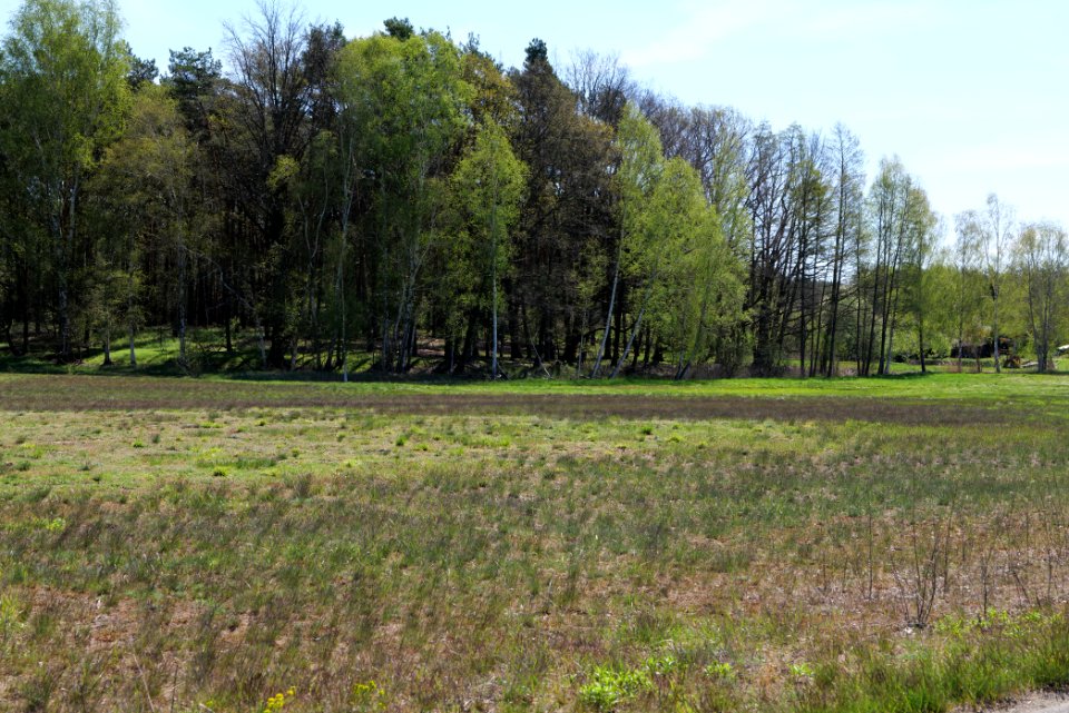 Baruther Urstromtal und Luckenwalder Heide 2021-05-09 42