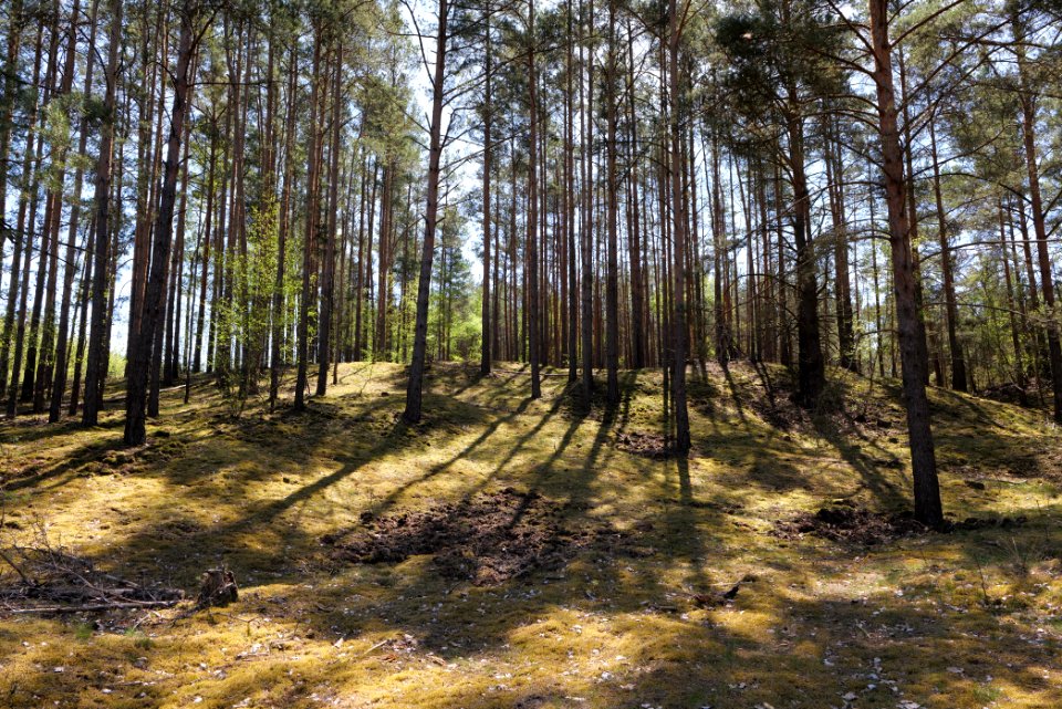 Baruther Urstromtal und Luckenwalder Heide 2021-05-09 126