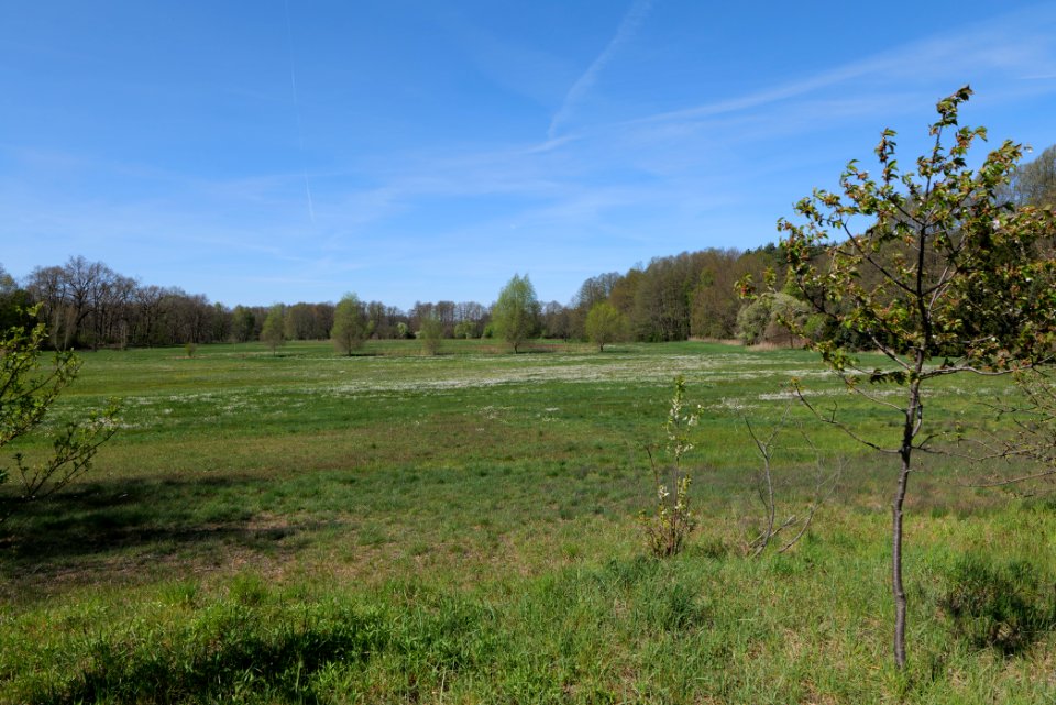 Baruther Urstromtal und Luckenwalder Heide 2021-05-09 32